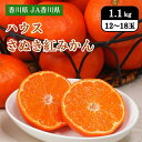 香川県 JA香川県 ハウスさぬき紅みかん 1.1kg(12〜18玉) 7月上旬発送開始