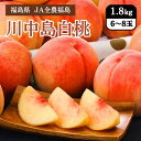 福島県 川中島白桃 1.8kg (6〜8玉) JA全農福島 8月中旬〜8月下旬お届け