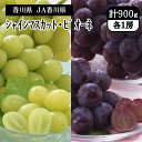 香川県 シャインマスカット・ピオーネ 計900g (各1房) 8月中旬〜8月下旬 お届け