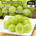 福岡県 八女のシャインマスカット 900g (2房) JAふくおか八女 8月下旬〜9月中旬お届け