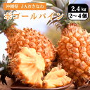 沖縄県 ボゴールパイン 2.4kg(2〜4個) JAおきなわ 5月上旬発送開始 パイナップル 南国 ギフト 国産 フルーツ 果物 JA 全農 トロピカルフルーツ...