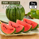 茨城県 こだますいか 3kg(2玉) JA北つくば 5月上旬発送開始