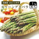 北海道 グリーンアスパラ(2L /L) 500g×2(2L500g /L500g) JAこしみず 5月下旬発送開始