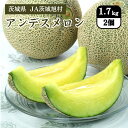 茨城県 アンデスメロン 1.7kg(2個)JA茨城旭村 5月中旬発送開始