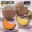 熊本県・茨城県 母の日 アンデスメロン・クインシーメロンセット 1.8kg(各1玉)