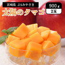宮崎県 母の日 太陽のタマゴ 900g(2玉)