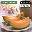 北海道 JA夕張市 夕張メロン 優品 2Lサイズ 2玉 6月下旬発送開始