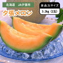 北海道 JA夕張市 夕張メロン 良品 2Lサイズ 2玉 6月下旬発送開始