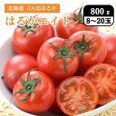 北海道 JA北はるか はるかエイト(フルーツトマト) 800g(8~20玉)7月中旬発送開始