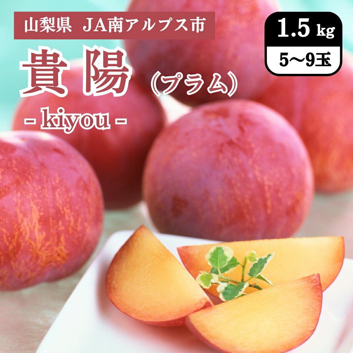 山梨県 JA南アルプス市 貴陽（プラム） 1.5kg（5～9玉） 7月中旬発送開始予定