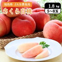 福島県 JA全農福島 さくら白桃 1.8kg(5~8玉) 9月中旬発送開始