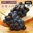 長野県 JA全農長野 ナガノパープル 900g(2房) 9月上旬発送開始