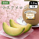 静岡県 敬老の日マスクメロン 1.2kg(1玉)