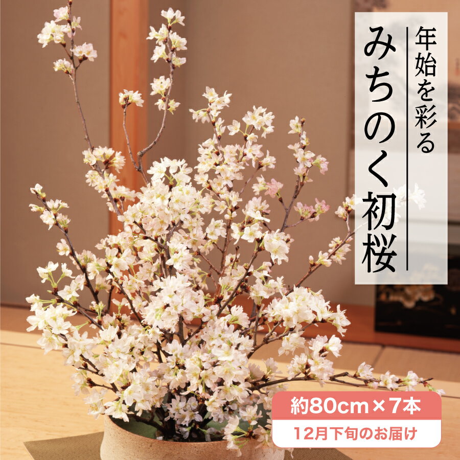 山形県 みちのく初桜（啓翁桜）80cm×7本 JA全農山形