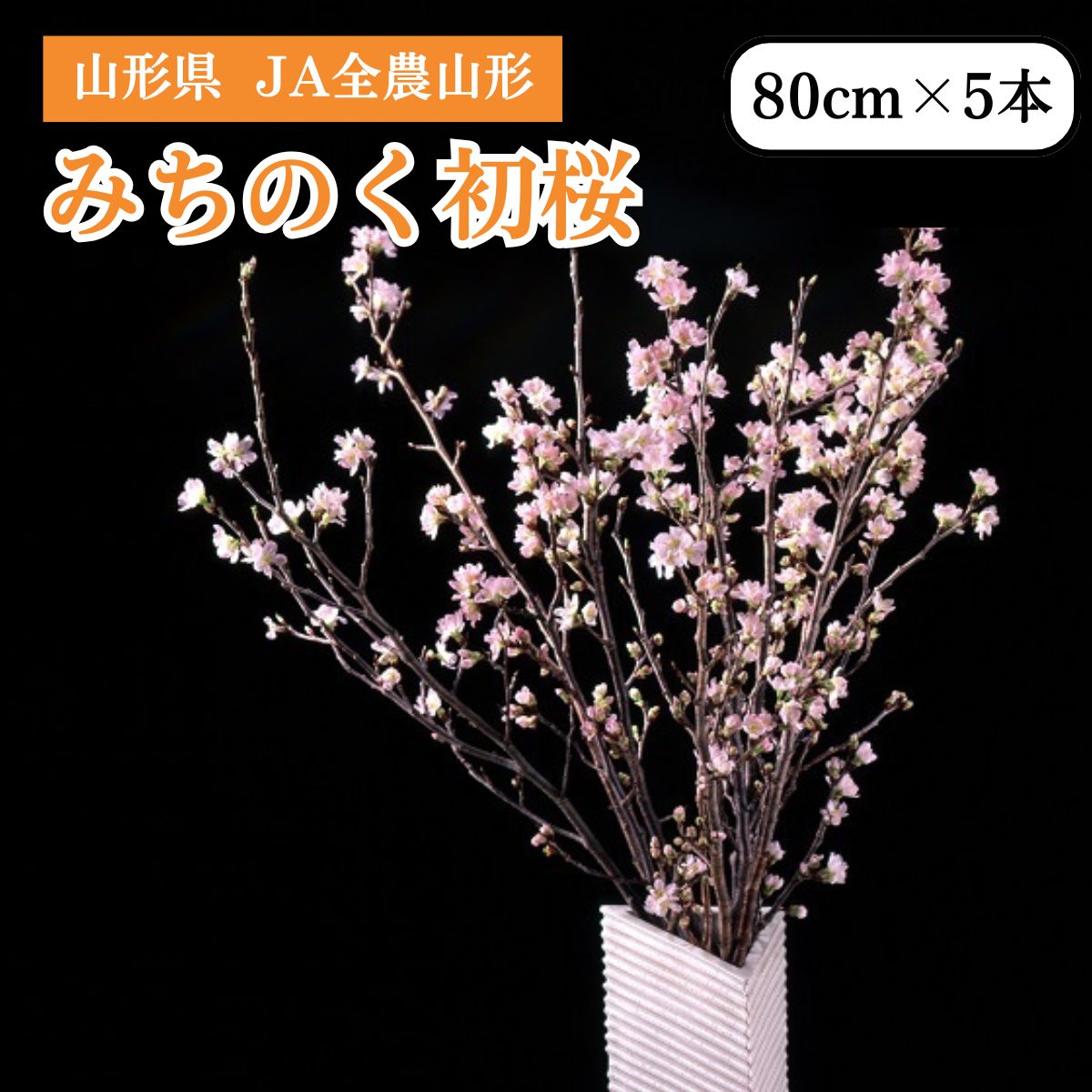 山形県 みちのく初桜（啓翁桜）80cm×5本 JA全農山形