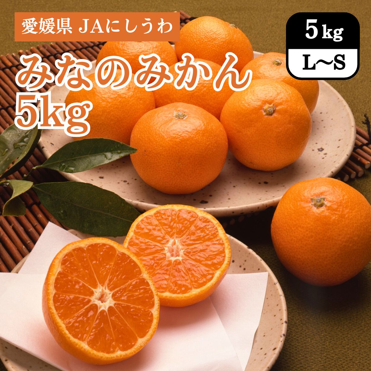 愛媛県 みなのみかん 5kg（L～Sサイズ） JAにしうわ・みなの共選 12月上旬発送開始