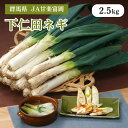 群馬県 下仁田ネギ 2.5kg JA甘楽富岡 12月中旬出荷開始