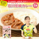 【送料無料】石川佳純 カレー 180g×5 かすみんカレー 全農 国産 豚肉 にんじん たまねぎ 使用 レトルトカレー おためし ごはんに合う りんご果汁 トマトの旨味 ギフト