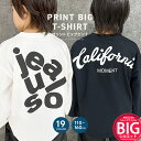 【送料無料】BIGロンT キッズ 子供服 男の子 女の子 長袖Tシャツ プリントTシャツ ビックシルエット ビッグ ビックTシャツ ロンティー バックプリント ジュニア 韓国子供服 110cm 120cm 130cm …