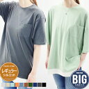 【送料無料】レディース メンズ Tシャツ 半袖 5分丈 5分袖 ビッグ BIG オーバーサイズ クルーネック プリント レイヤード カジュアル M L XL 「...