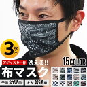 楽天ZI-ON3枚セット洗える布マスク 大人用 普通サイズ メンズ 雑貨 小物 アクセサリー 布マスク 手洗い 風邪対策 花粉対策 粉塵対策 2枚仕立て 3枚入 キッズ 幼児用 「DV-2002」