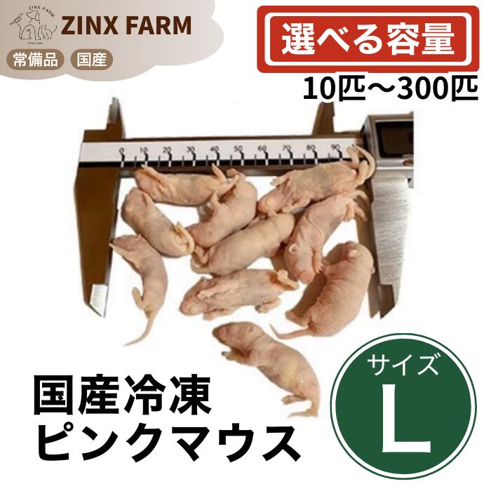 楽天市場】ピンクマウス 100匹の通販