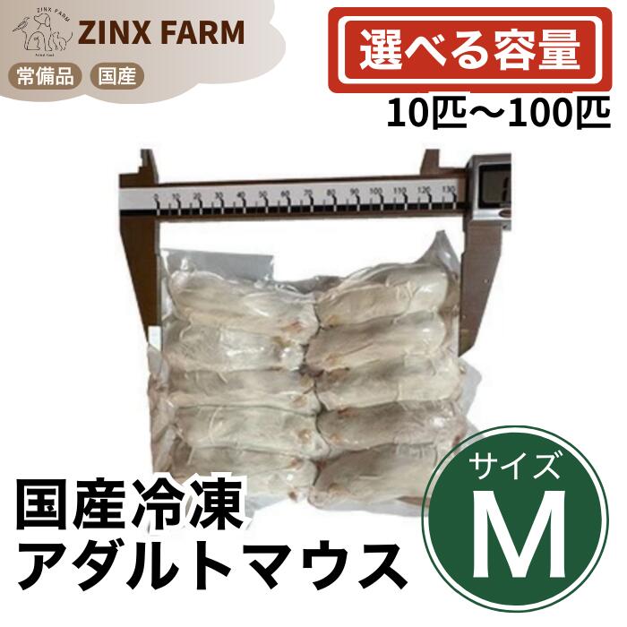 楽天市場】冷凍 アダルトマウス mサイズ 50匹の通販