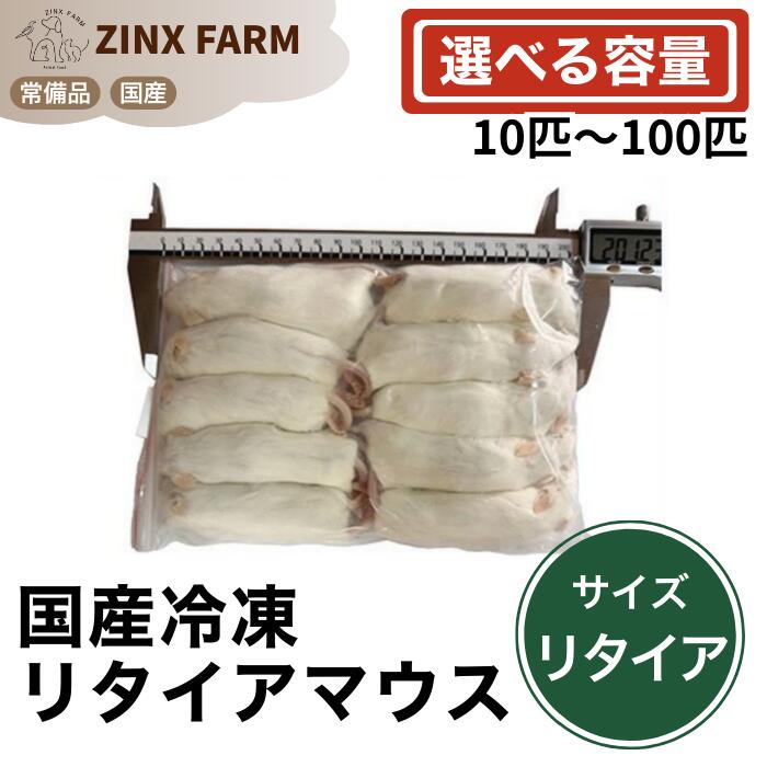 楽天市場】冷凍 マウス リタイアの通販