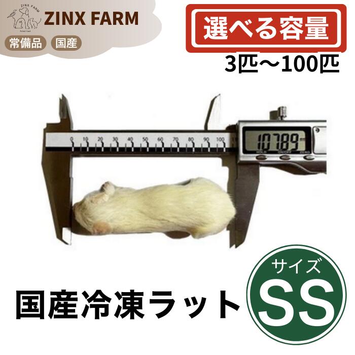 楽天市場】冷凍ラット lの通販