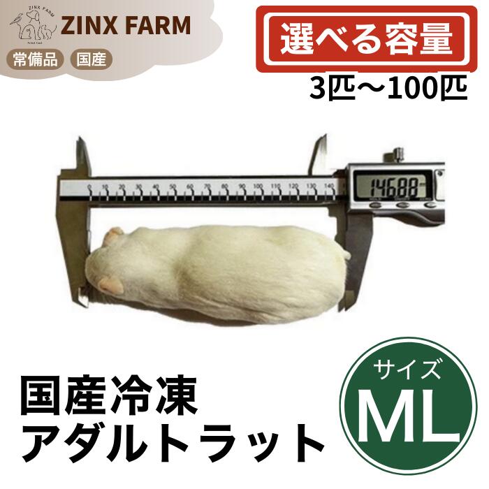 楽天市場】冷凍ラットの通販