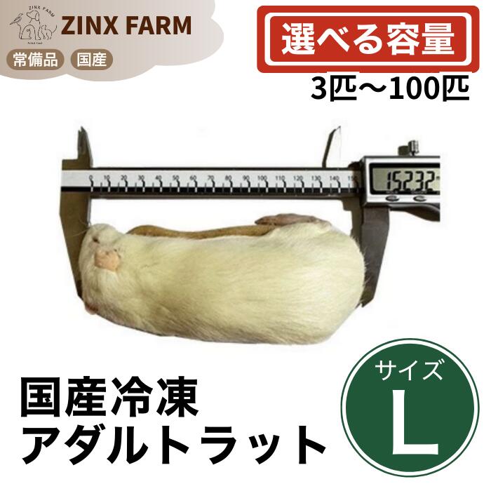 【国産】冷凍アダルトラット Lサイズ ＠180~200g 即日発送 同梱可 選べる容量 3匹 5匹 10匹 15匹 30匹 50匹 100匹 エサ 餌 フード 冷凍ラット ネズミ ねずみ 小動物 爬虫類 両生類の餌 フード エサ