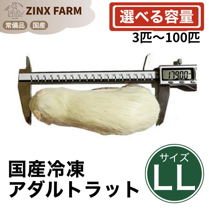 【国産】冷凍アダルトラット LLサイズ ＠240~280g 即日発送 同梱可 選べる容量 3匹 5匹 10匹 15匹 30匹 50匹 100匹 エサ 餌 フード 冷凍ラット ネズミ ねずみ 小動物 爬虫類 両生類の餌 フード エサ
