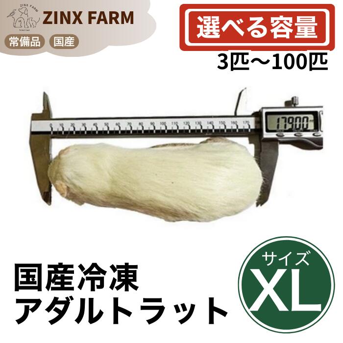 【国産】冷凍アダルトラット XLサイズ ＠300~360g 即日発送 同梱可 選べる容量 3匹 5匹 10匹 15匹 30匹 50匹 100匹 エサ 餌 フード 冷凍ラット ネズミ ねずみ 小動物 爬虫類 両生類の餌 フード エサ
