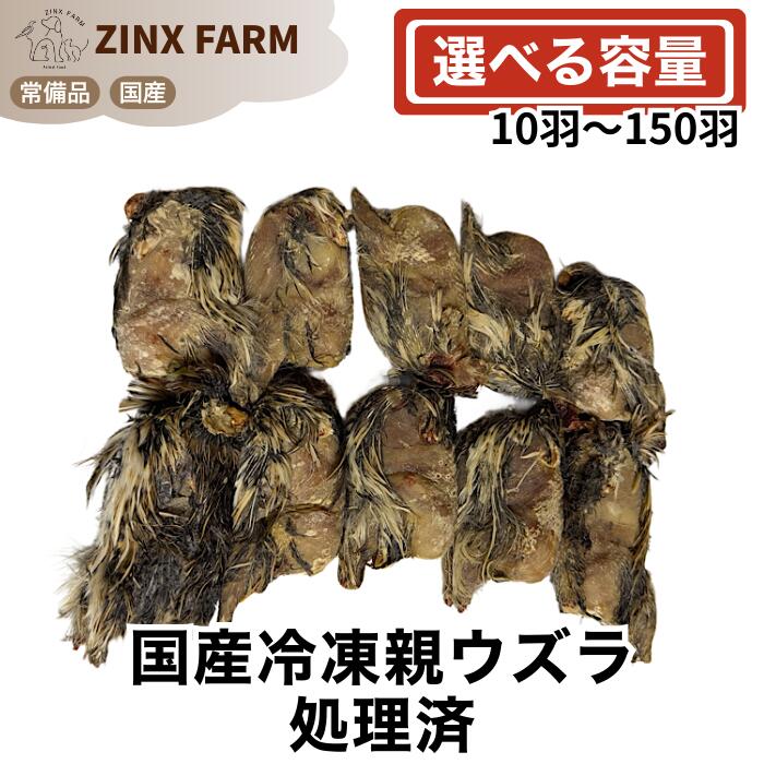 国産 冷凍 親ウズラ 処理済 即日発送 同梱可 選べる容量 10羽 20羽 30羽 50羽 100羽150羽 うずら 餌