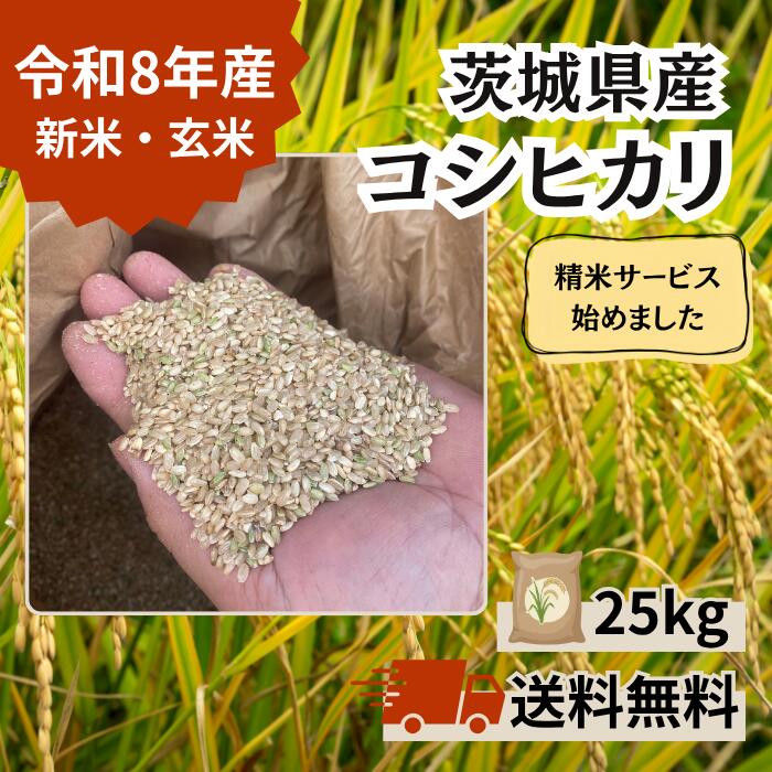 楽天市場】茨城 コシヒカリ 玄米の通販