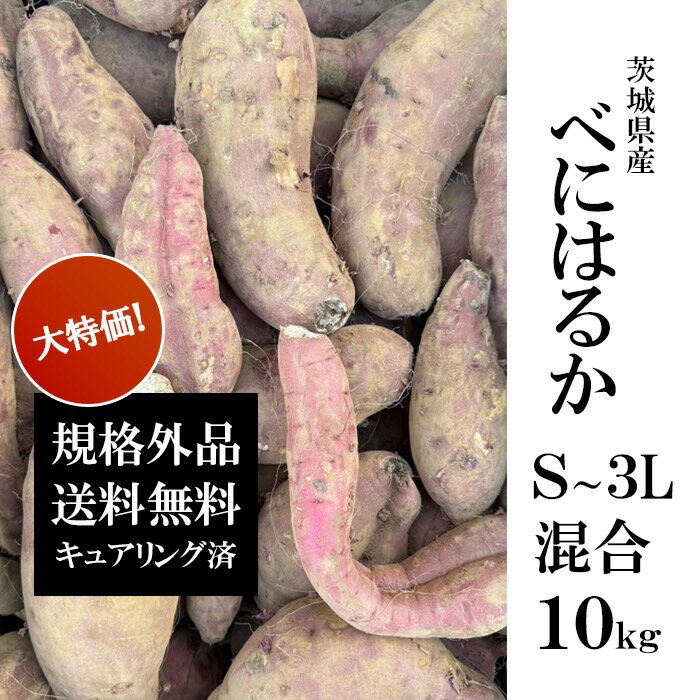 楽天市場】紅はるか 訳あり（総重量（野菜）10.0 ～ 10.9kg）の通販