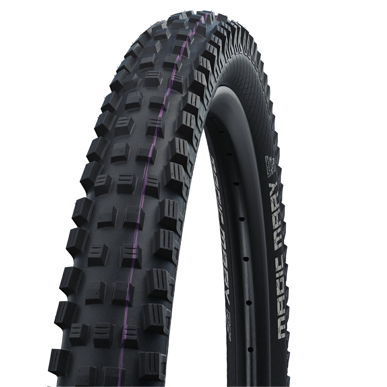  [Ź] SCHWALBE() MAGIC MARY (ޥåޥ꡼) 27.52.40 MTB  TLE(塼֥쥹) ֥å SW-11600537.03̳ƻ졦Υϰ Բġ