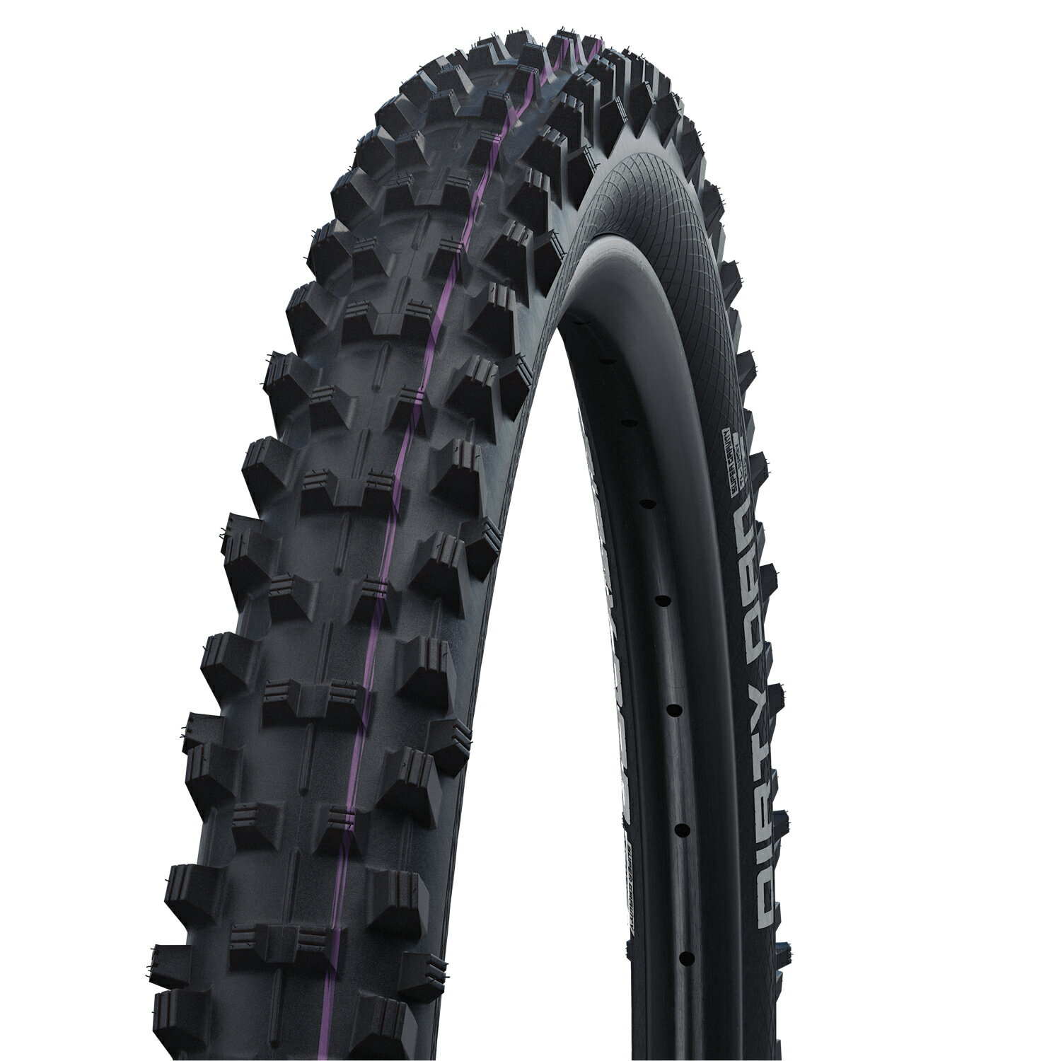  [K㗝Xi] SCHWALBE(Vx) DIRTY DAN (_[eB_) 29~2.35 MTB ^C TLE(`[uXC[W[) ubN SW-11654178ykCEEn zsz