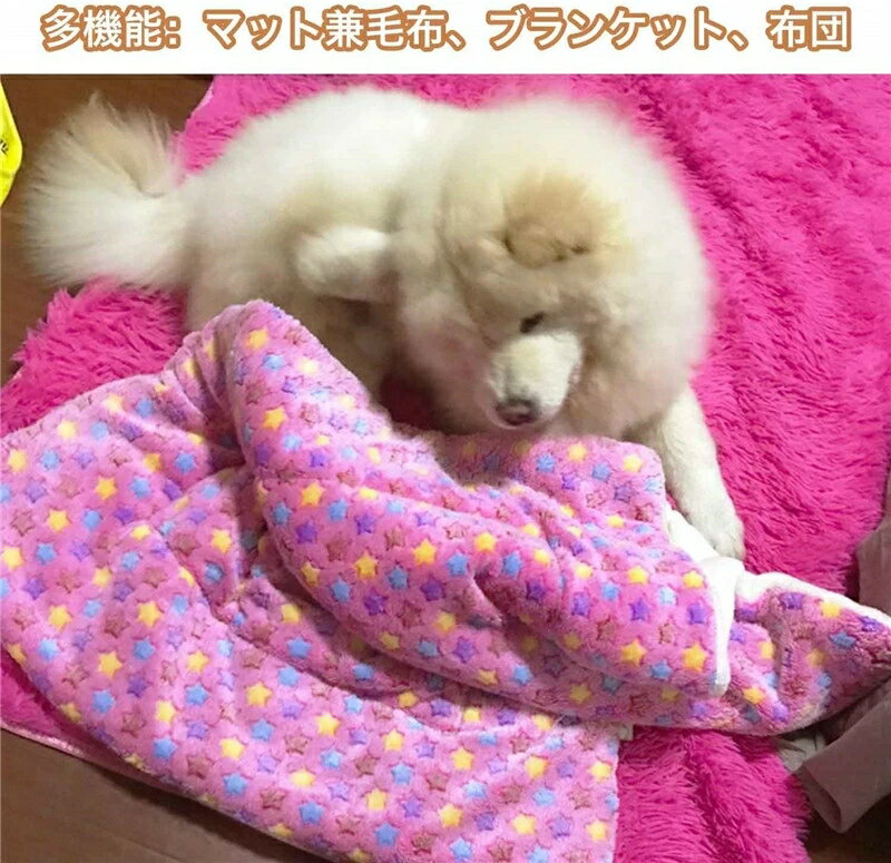ペット毛布 ペット布団 ペットマット ペットヒーター　犬 猫 ペットブランケット　ペットお気に入り　モコモコ　フワフワ 柔らかい 暖かい　良い肌さわり　水洗可 1セット2点　冬用 クッション　犬猫マット　ペットケージ使用送料無料