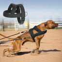 楽天ZMSHOPハーネス ソフトパッド入り 大型犬 トレーニング Chest 63～80cm 耐久性 ウォーキング ランニング ブラック