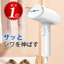 【楽天1位】スチームアイロン ハン