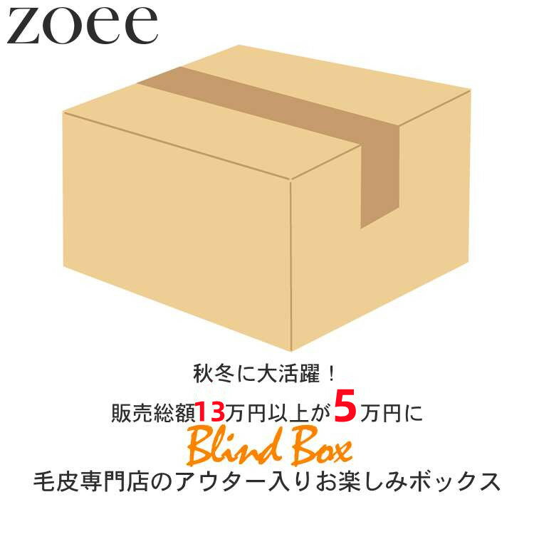 【今月特価】【メンズ福袋】【返品交換不可】13万円以上相当が5万円! 超お得なメンズ 本革 毛皮 ムートン アウター 小物 セット商品 M/L/2L/3L/4L k4z04