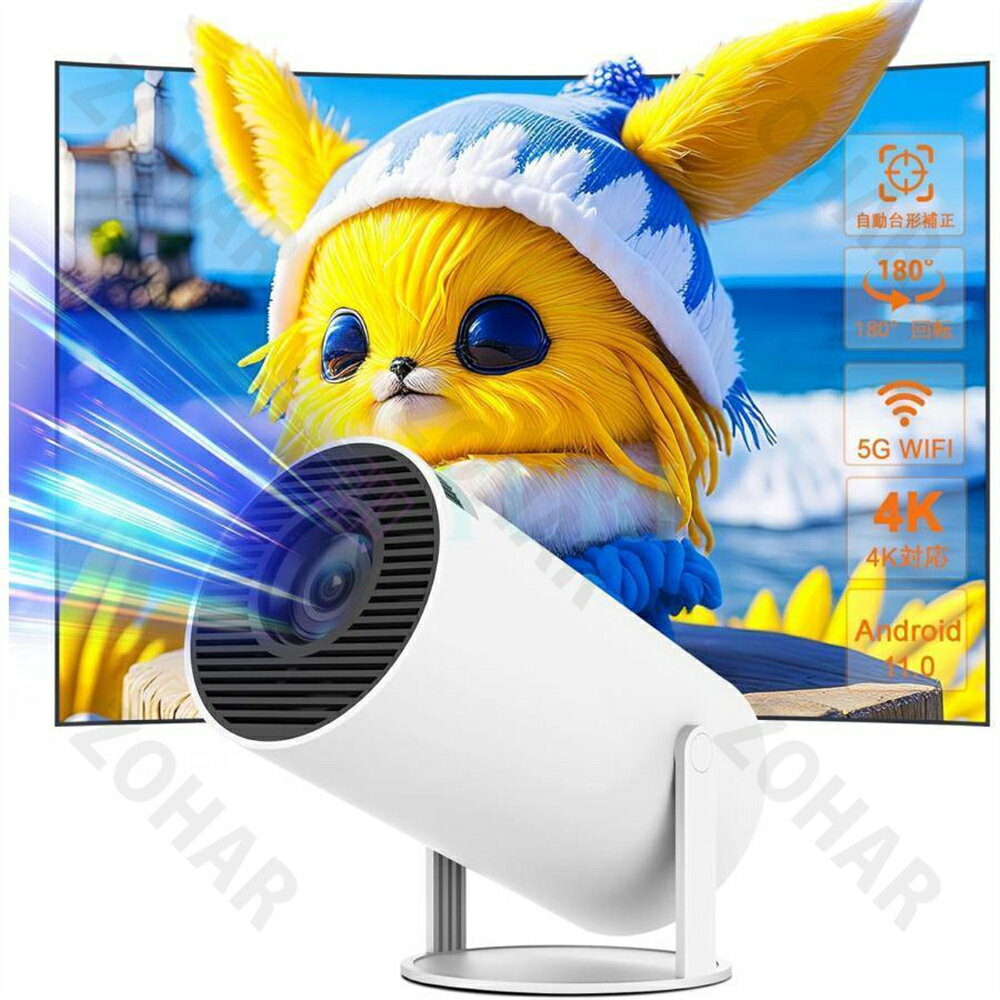 �ۡ���ץ����������� �ץ����������� ���� �Ҷ� ���� ������ ŷ�� 4K�б� ����ǽ ��ư������� û��Υ��� ���ޥ� 5GWiFi6 Bluetooth5.2 ������� �⵱�� �ߥ˷��� �֤��� 120ANSI IOS/Android TV