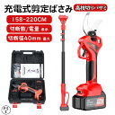 【楽天1位 品質保証】高枝切りバサミ 充電式 高枝切りはさみ 切断直径40mm 電動剪定ばさみ 剪定ばさみ コードレス 電動剪定バサミ ブラシレスモーター バッテリー付き 太い校 強力 250cm 延長ポール 高枝 電動チェーンソー 高枝ノコギリ 園芸用具 軽量