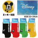 ディズニー ミッキー 刺繍 スニーカーインソックス レディス 靴下 キャラソックス