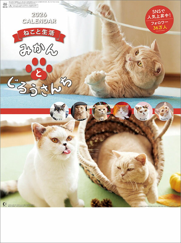 【送料込み】【取寄商品】 2026年カレンダーねこと生活 みかんとじろうさんち26CL-0400[9/20発売]