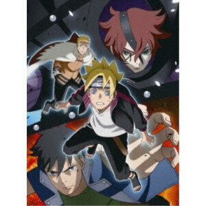 DVD / TVアニメ / BORUTO-ボルト- NARUTO NEXT GENERATIONS DVD-BOX17(迷宮遊戯編/サスケ烈伝/コード襲来編) (完全生産限定版) / ANZB-14572