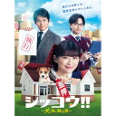 DVD / 国内TVドラマ / シッコウ!!〜犬と私と執行官〜 DVD-BOX / VPBX-15779