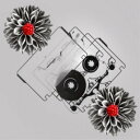 CD / ヒトリエ / NOTOK (完全生産限定盤) / AICL-4634