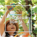 CD / BGV / NTVM Music Library 番組BGM36 / VPCD-87065